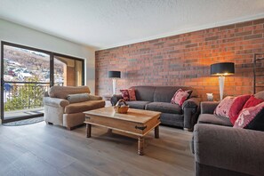 TV, fireplace, DVD player, video library