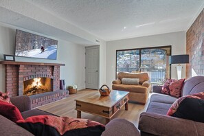 TV, fireplace, DVD player, video library