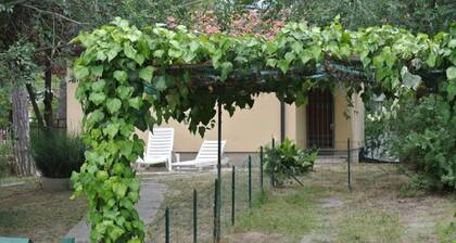 Villa LIVIA - Lignano Riviera