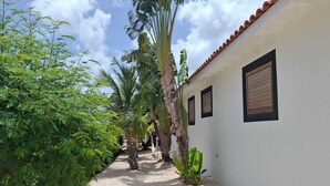 Un sendero bordeado por exuberante vegetación y palmeras, que conduce a un edificio blanco con techo de tejas y varias ventanas.