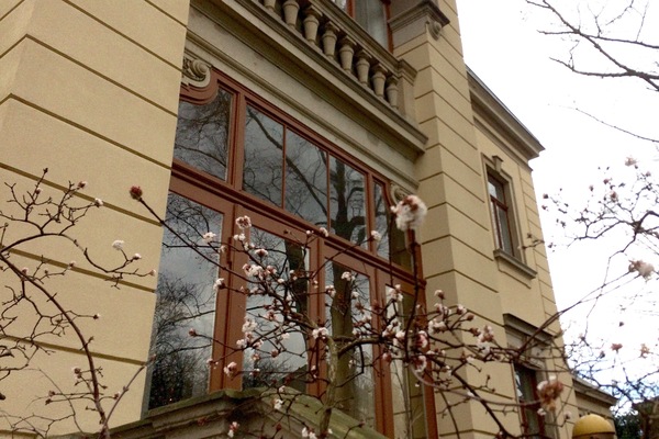 Detalle exterior