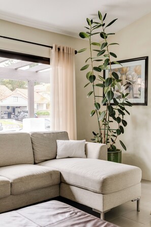 Smart TV, fireplace, DVD player, books