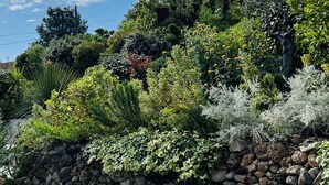 A stone wall with various plants and shrubs. - 64 Le Mazet in Provence with Pool and Private Garden Classified 4**** (Roquevaire)