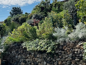 Property grounds - 64 Le Mazet in Provence with Pool and Private Garden Classified 4**** (Roquevaire)