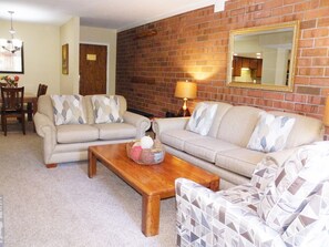 Smart TV, fireplace, DVD player, books