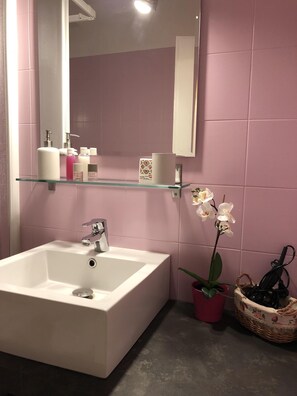 Sèche-cheveux, serviettes fournies, savon, papier toilette