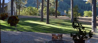 Cabine confortable dans les pins!  Belle propriété avec beaucoup d'espace!