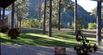 Cozy Cabin in the Pines! Beautiful property with lots of space!