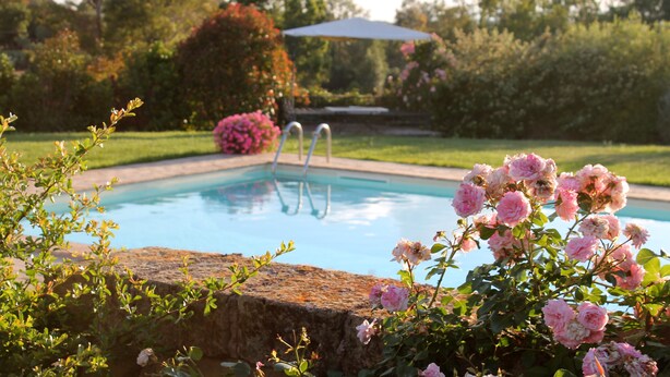 Una piscina rodeada de abundante vegetación y flores rosadas.