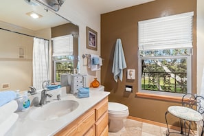 Combined shower/bathtub, eco-friendly toiletries, hair dryer, towels