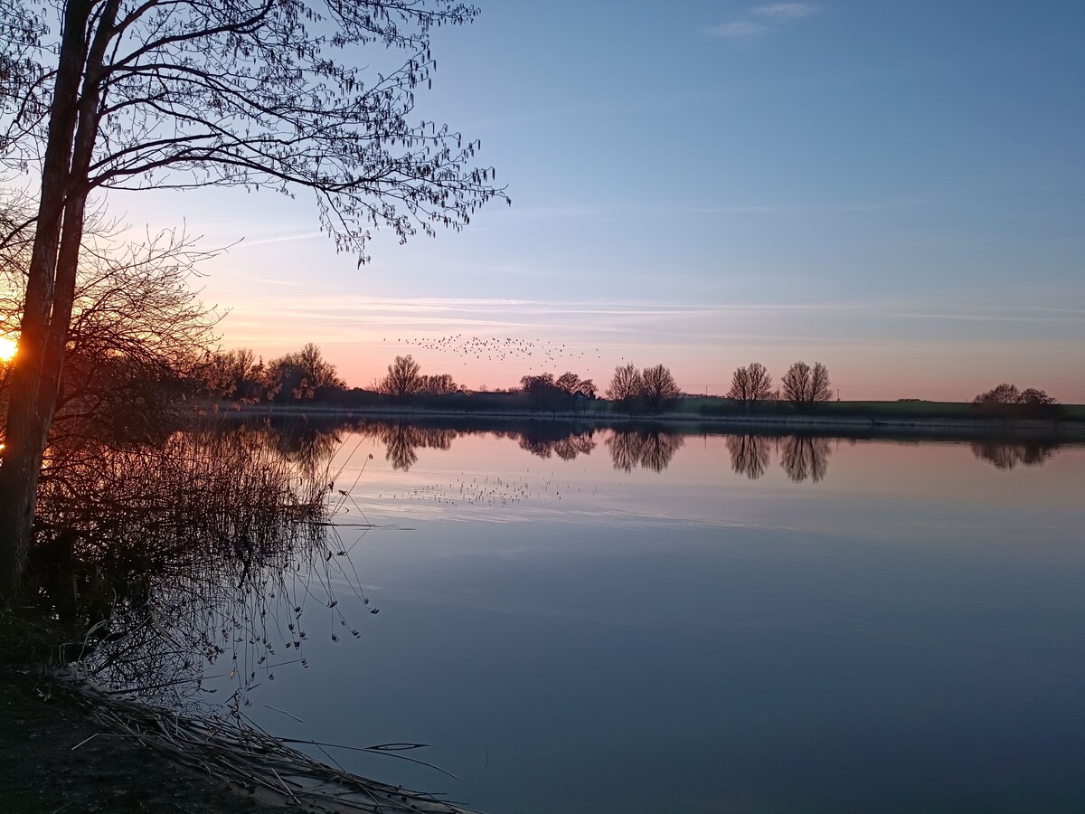 Image de profil de l’hôte