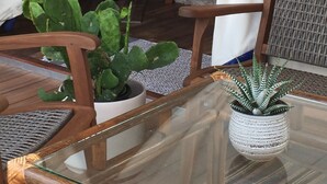 A room with a wooden chair, a glass table, and a potted cactus.
