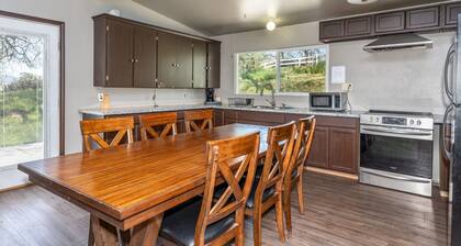 NEWLY RENOVATED 2bedroom in heart of Oakhurst