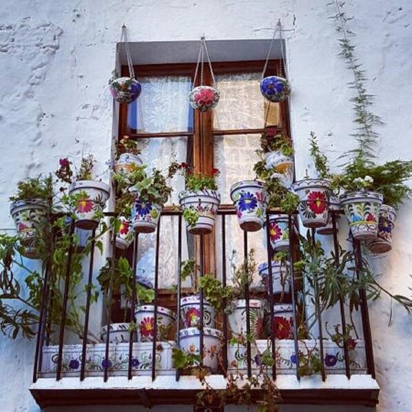 A balcony with multiple hanging flower pots and potted plants. - ASHANTI BAY LUXURY GOLF APARTMENT (Altea)