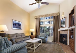 TV, fireplace, DVD player, foosball