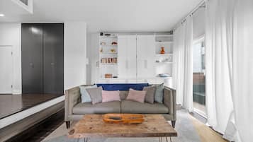 Smart TV, fireplace, DVD player, books