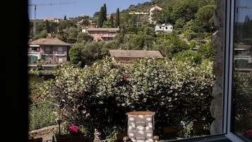 Vista dalla struttura