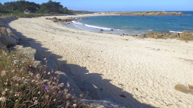 Ein sandiger Strand mit Felsen und einem wolkenlosen, blauen Himmel.