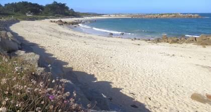 Maison d'architecte à la plage, 10 vélos, moutons, poules, jeux, paddles
