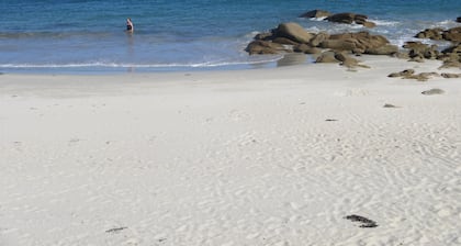 Maison d'architecte à la plage, 10 vélos, moutons, poules, jeux, paddles