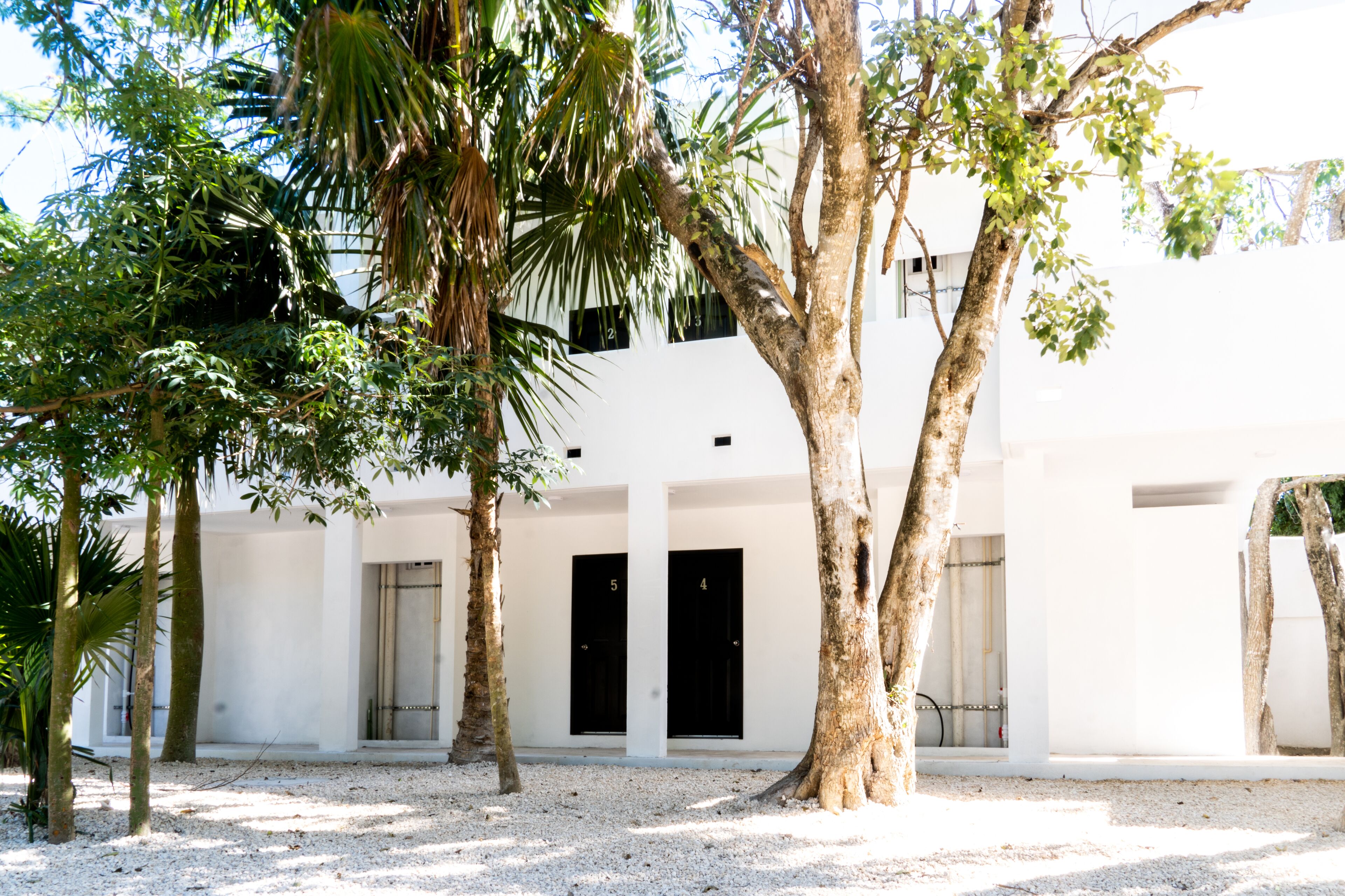 Photo - Hotel Casa Tortuga Tulum - Cenotes Park Inclusive