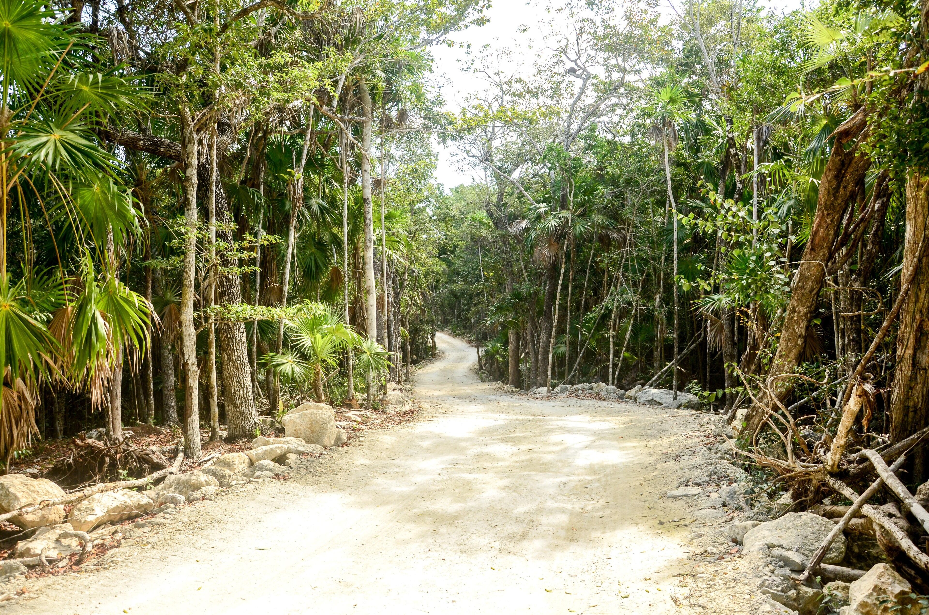Photo - Hotel Casa Tortuga Tulum - Cenotes Park Inclusive