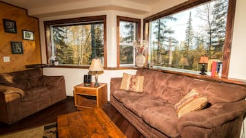 Smart TV, fireplace, books, stereo