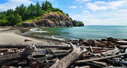 Kaunis Leadbetter Point State Park & Wildlife Refuge!
