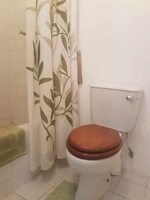 Shower, eco-friendly toiletries, hair dryer, towels