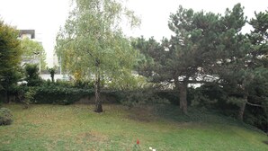 Une zone herbeuse avec des arbres et une clôture.
