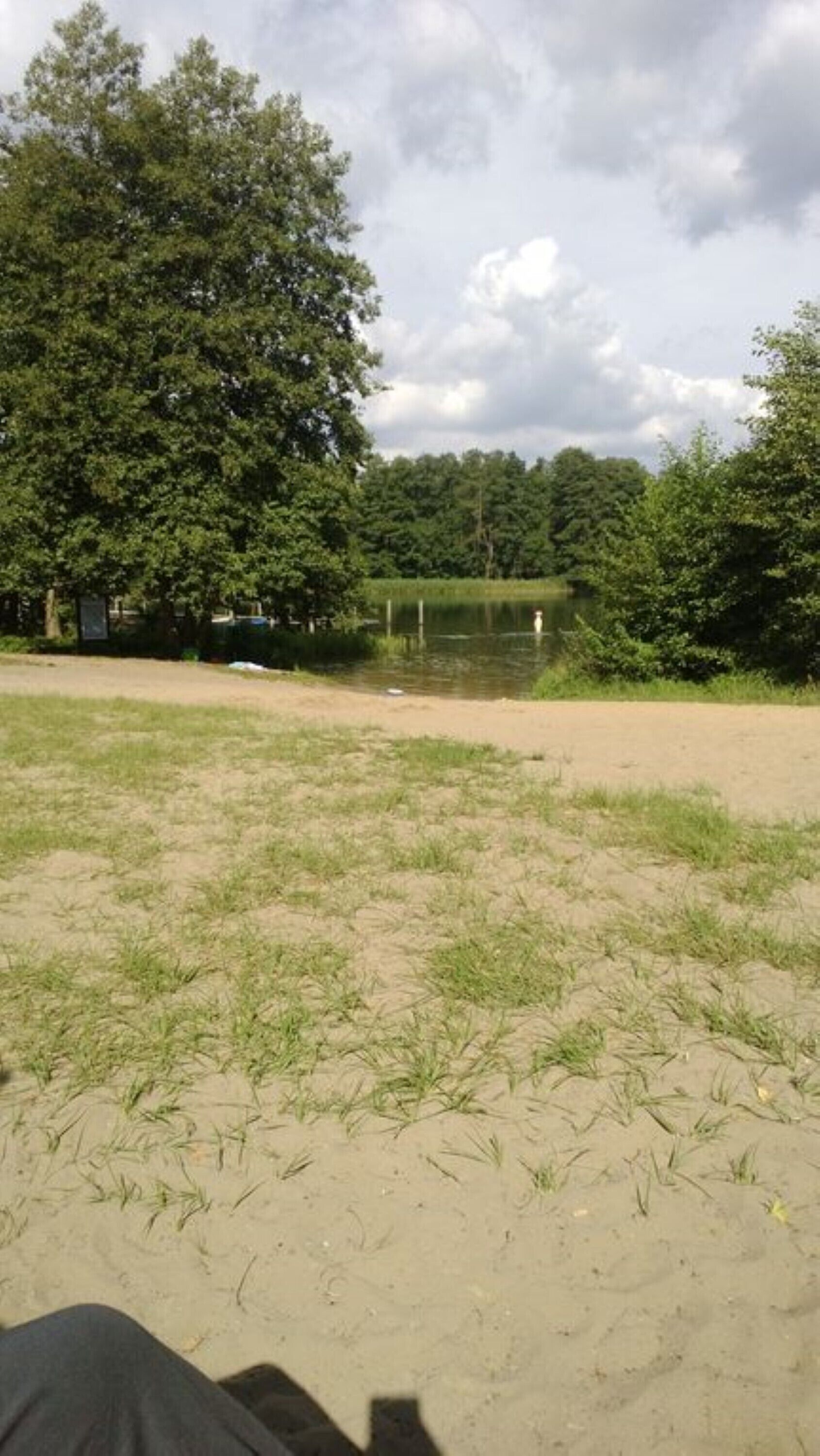Ein sandiger Bereich mit vereinzelter Vegetation, ein Gewässer und dichter Baumwuchs im Hintergrund.