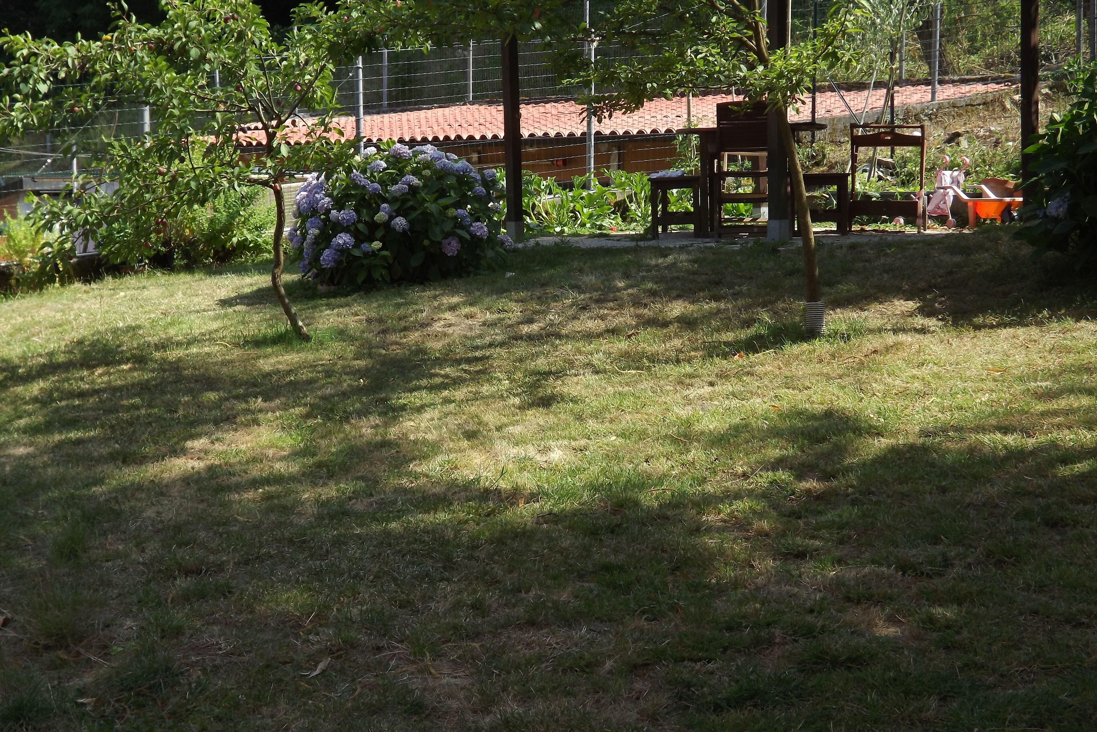 Un jardin avec un petit arbre, un banc en bois et une chaise en métal.