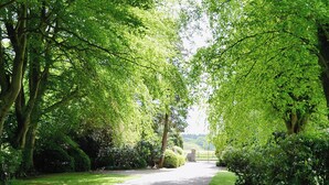 A gravel pathway flanked by lush green trees and shrubs, leading to a distant structure.
