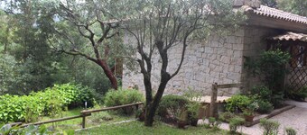 Bouço Velho's Corner