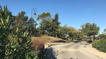 Une route sinueuse, avec un lampadaire et des arbres.