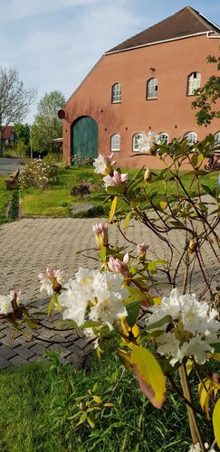 Apartment "Blied" f. Max. 2 pers + toddler, san. Gulfhof, gr. garden