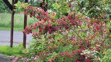 Àrea exterior de l'allotjament