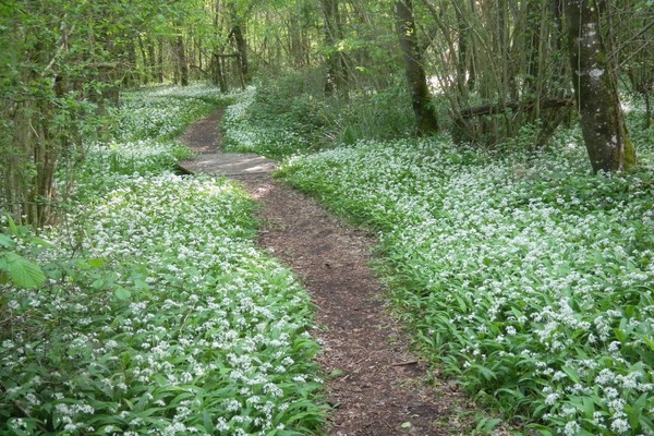 Terrain de l’hébergement