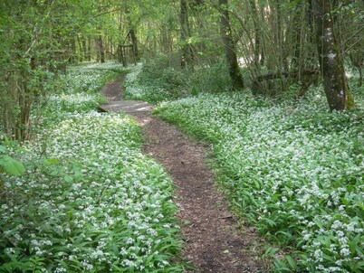 Casa totalmente modernizada pero tradicional en la hermosa campiña de Touraine