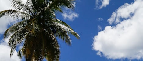Beach nearby, sun-loungers, beach towels