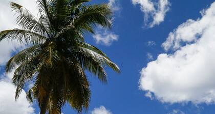 Beachside Apartment # 2 - nur wenige Schritte vom Strand entfernt!