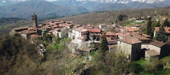 Da Vinci Apartment_Prato All'Aia (private forest)