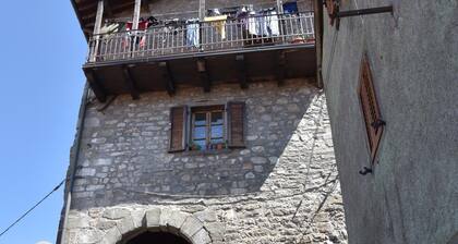 Da Vinci Apartment_Prato All'Aia (private forest)