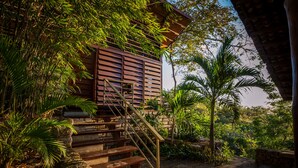 Una escalera de madera que lleva a un edificio rodeado de vegetación exuberante y palmeras.