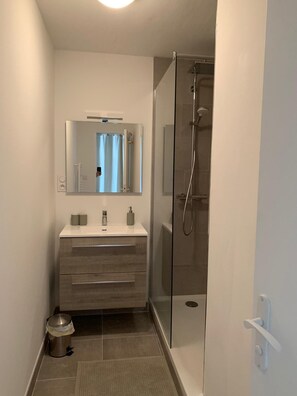 Bathroom features a glass-enclosed shower, handheld showerhead, and a light-colored vanity with a white countertop.