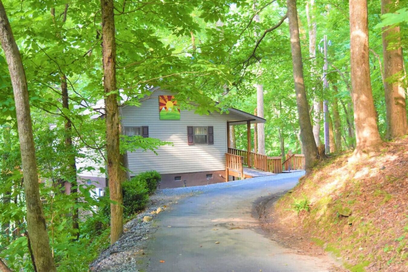 Cabin near Chimney Rock-Lake Lure-Asheville- DOG FRIENDLY