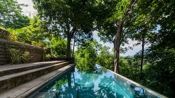 A clear glass infinity pool surrounded by lush greenery and a stone staircase.