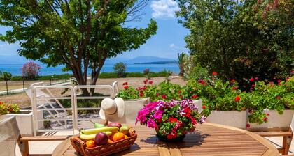 Cottage with garden and sea view