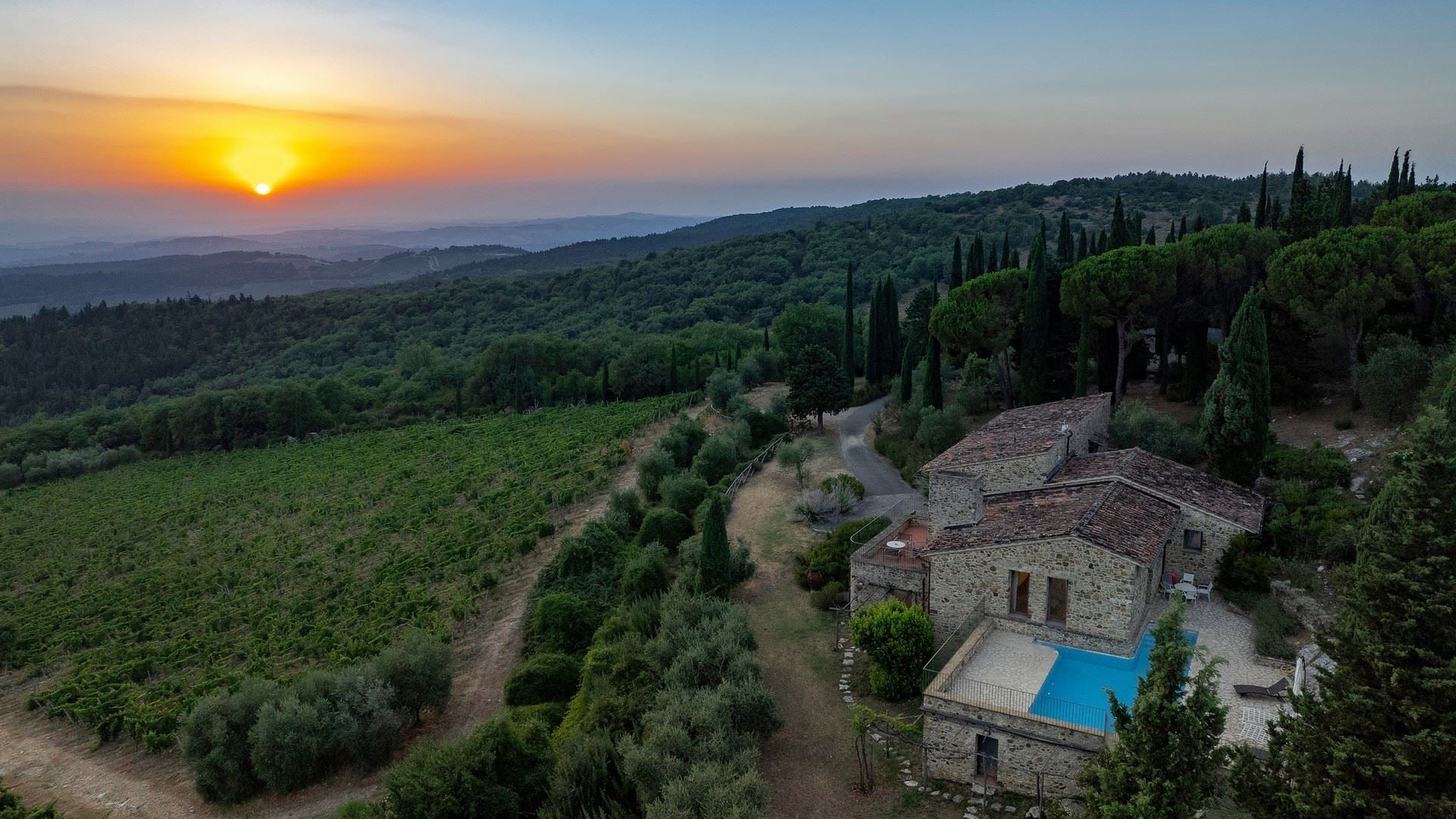 A stone villa with a swimming pool, surrounded by vineyards and dense forest.