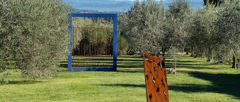 A grassy area with a blue metal structure and a wooden sculpture.